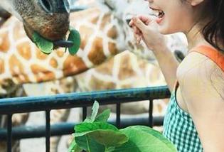 YouWu尤物馆 – 陈怡曼coco皮衣最新图册：独特风格与时尚态度的完美结合.txt
