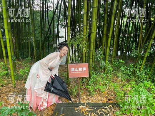 从秋和柯基的镜头看：裸色蕾丝吊袜带套装如何在写真中绽放独特风采？.txt